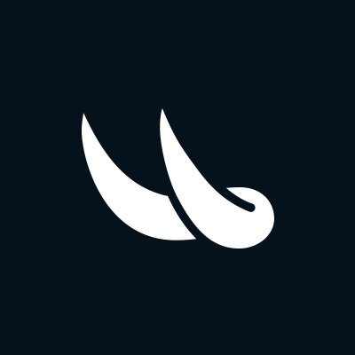 bullpen FI logo