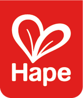 Hape Toys logo